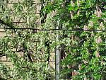     
: IMG_2565_1.jpg
: 65
:	311.4 
ID:	4249158