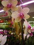     
: нл3.jpg
: 57
:	47.6 
ID:	4251796