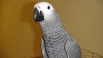     
: DSC01872.jpg
: 28
:	64.0 
ID:	4254638