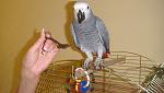     
: DSC01870.jpg
: 52
:	98.2 
ID:	4254639
