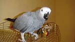     
: DSC01868.jpg
: 28
:	105.3 
ID:	4254642