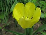     
: IMG_1176.jpg
: 4
:	29.8 
ID:	4255196