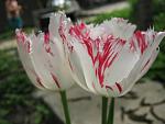     
: IMG_1180.jpg
: 5
:	35.2 
ID:	4255197
