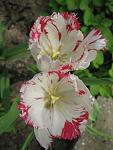     
: IMG_1178.jpg
: 6
:	43.5 
ID:	4255199