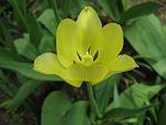     
: IMG_1175.jpg
: 7
:	31.3 
ID:	4255201