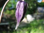     
: IMG_1216.jpg
: 8
:	37.0 
ID:	4255212