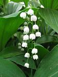     
: IMG_1190.jpg
: 5
:	39.8 
ID:	4255214
