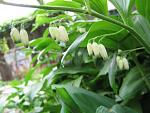     
: IMG_1183.jpg
: 6
:	46.8 
ID:	4255215