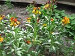     
: IMG_1185.jpg
: 15
:	74.9 
ID:	4255240