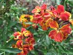     
: IMG_1187.jpg
: 10
:	50.5 
ID:	4255241