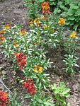     
: IMG_1184.jpg
: 10
:	88.5 
ID:	4255242
