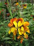     
: IMG_1188.jpg
: 9
:	48.3 
ID:	4255244