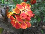     
: IMG_1186.jpg
: 11
:	44.7 
ID:	4255245