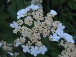     
: IMG_1231.jpg
: 12
:	41.8 
ID:	4255790
