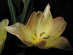     
: IMG_1227.jpg
: 6
:	28.8 
ID:	4255792