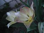     
: IMG_1225.jpg
: 10
:	29.8 
ID:	4255793