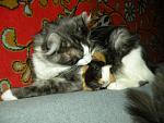     
: DSCN4336.jpg
: 21
:	74.1 
ID:	425646