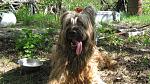     
: IMG_0013.jpg
: 10
:	220.7 
ID:	4257516