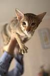     
: DSC_3972.jpg
: 26
:	38.4 
ID:	4257618