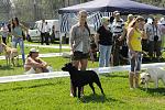     
: _DSC0638.jpg
: 32
:	224.4 
ID:	4257766