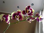     
: 11052012857.jpg
: 39
:	89.4 
ID:	4258835