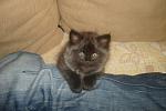     
: DSC04630_измен.размер.JPG
: 29
:	187.5 
ID:	4259337