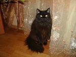     
: DSC08060.jpg
: 29
:	133.7 
ID:	4259345
