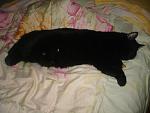     
: DSC08118.jpg
: 27
:	79.6 
ID:	4259356