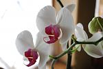     
: DSC_0042.jpg
: 15
:	57.6 
ID:	4260519