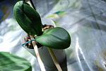     
: DSC_0061.jpg
: 31
:	76.3 
ID:	4260523