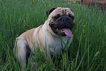     
: DSC08698.jpg
: 36
:	149.3 
ID:	4260524