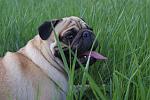     
: DSC08707.jpg
: 37
:	129.0 
ID:	4260526
