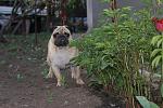     
: DSC08752.jpg
: 35
:	129.5 
ID:	4260536