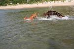     
: IMG_3208.jpg
: 44
:	162.2 
ID:	4261911