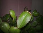     
: 20032012434.jpg
: 12
:	79.3 
ID:	4261940