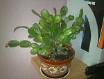     
: 20032012436.jpg
: 16
:	116.5 
ID:	4261944