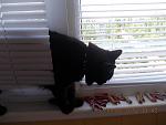     
: DSCN1020.jpg
: 15
:	254.6 
ID:	4263957