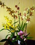     
: нов1.jpg
: 63
:	59.5 
ID:	4264350