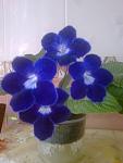     
: Фото0000.jpg
: 22
:	60.7 
ID:	4264574
