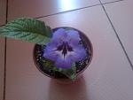     
: Фото0034.jpg
: 20
:	93.5 
ID:	4264577