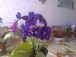     
: Фото0032.jpg
: 19
:	124.1 
ID:	4264579