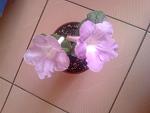     
: Фото0019.jpg
: 16
:	96.5 
ID:	4264580