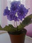     
: Фото0043.jpg
: 16
:	77.8 
ID:	4264650