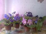    
: 0056.jpg
: 18
:	114.6 
ID:	4264676