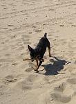     
: DSCN3480.jpg
: 37
:	101.3 
ID:	4265137