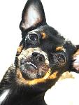     
: DSCN3501_11111.jpg
: 39
:	92.3 
ID:	4265138