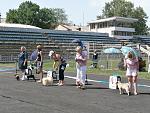     
: P5120134.jpg
: 18
:	246.2 
ID:	4266401