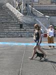     
: P5120151.jpg
: 23
:	96.1 
ID:	4266411