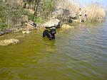     
: 01052012923.jpg
: 13
:	180.8 
ID:	4268785