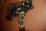     
: DSC_0222.jpg
: 22
:	76.6 
ID:	4270922